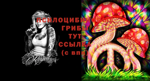 наркотики Алексин