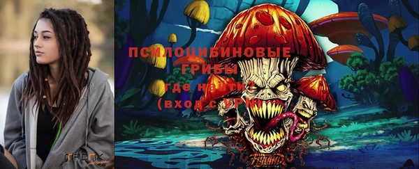 сатива Алзамай